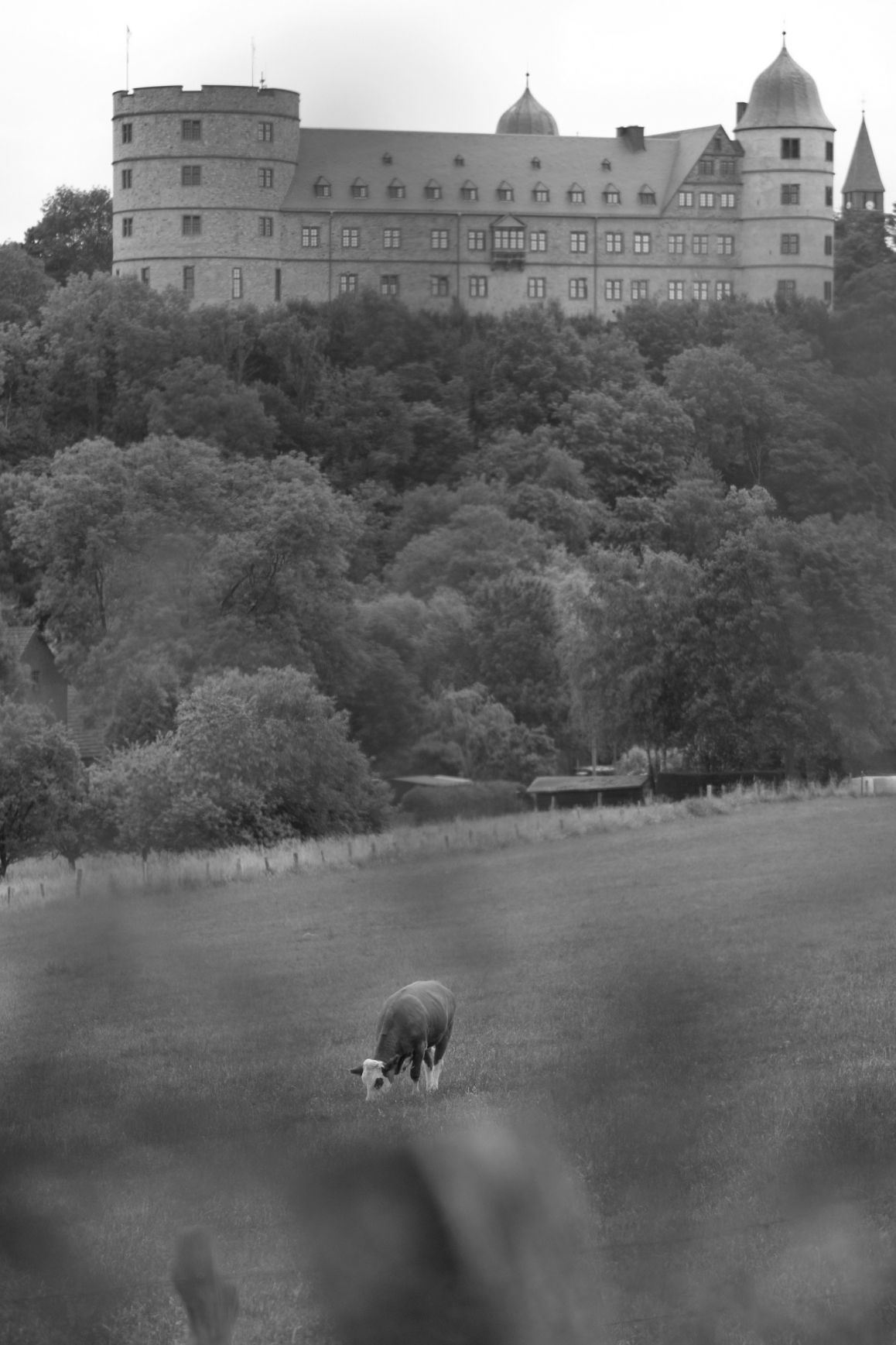 2023-06-18_Jan Handelmann_1